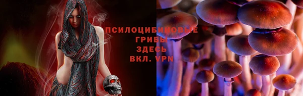 альфа пвп Осташков