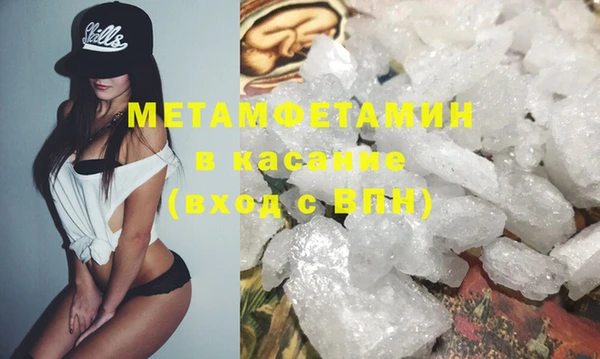 сатива Аркадак