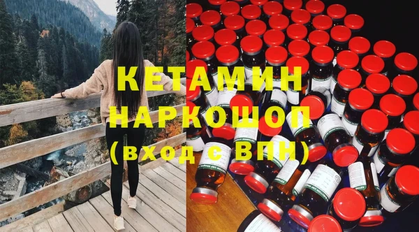 сатива Аркадак