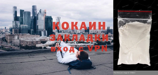 сатива Аркадак